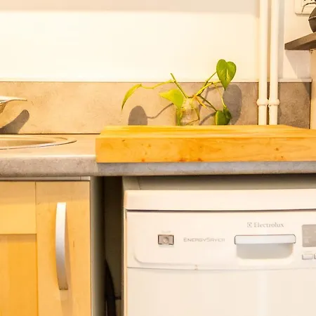 Superb Charming And Bright Apt Buttes Chaumont * פריז